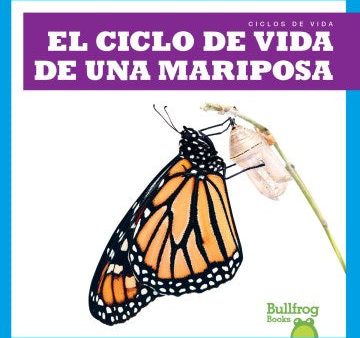 El ciclo de vida de una mariposa  A Butterfly s Life Cycle Online Sale