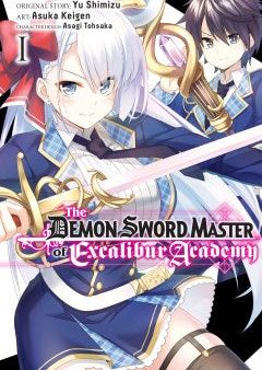 The Demon Sword Master of Excalibur Academy 1 Sale