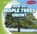 How Do Maple Trees Grow? Cheap