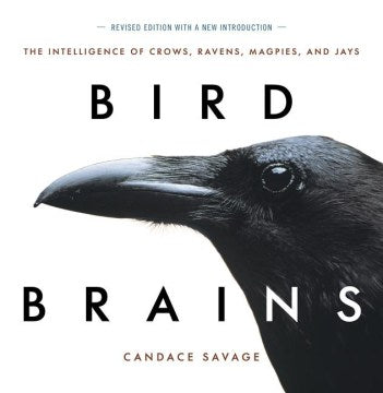 Bird Brains Fashion