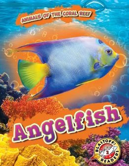 Angelfish Supply